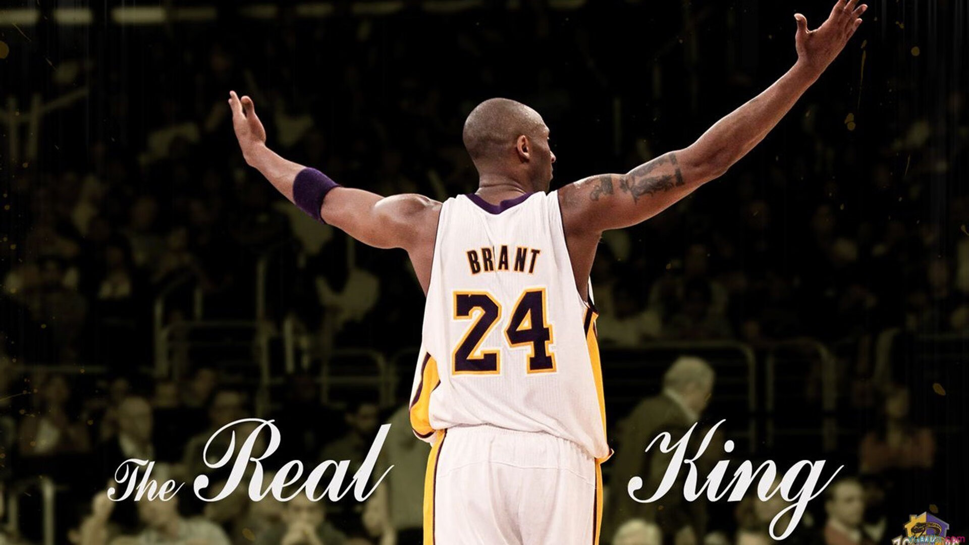 瑞安：全黑队防守与进攻的完美平衡，助力球队取胜，瑞安市打黑除恶办领导名单